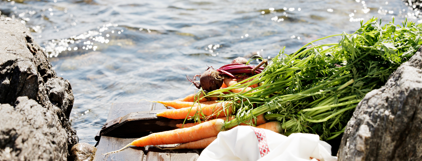 Käytä muovia fiksummin