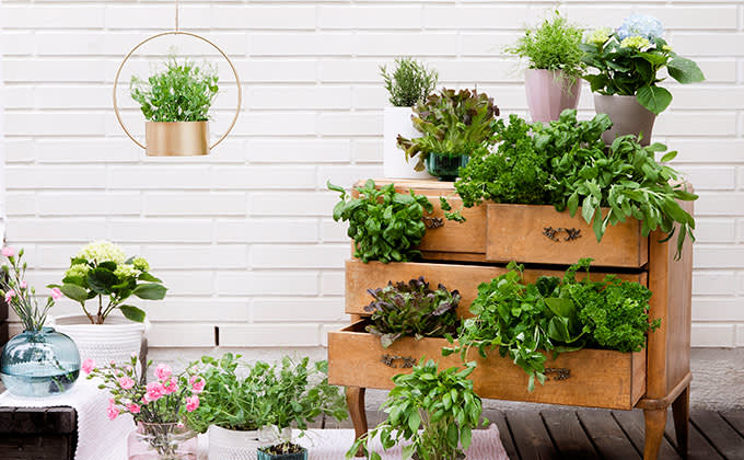 parvekelviljely lipasto 680