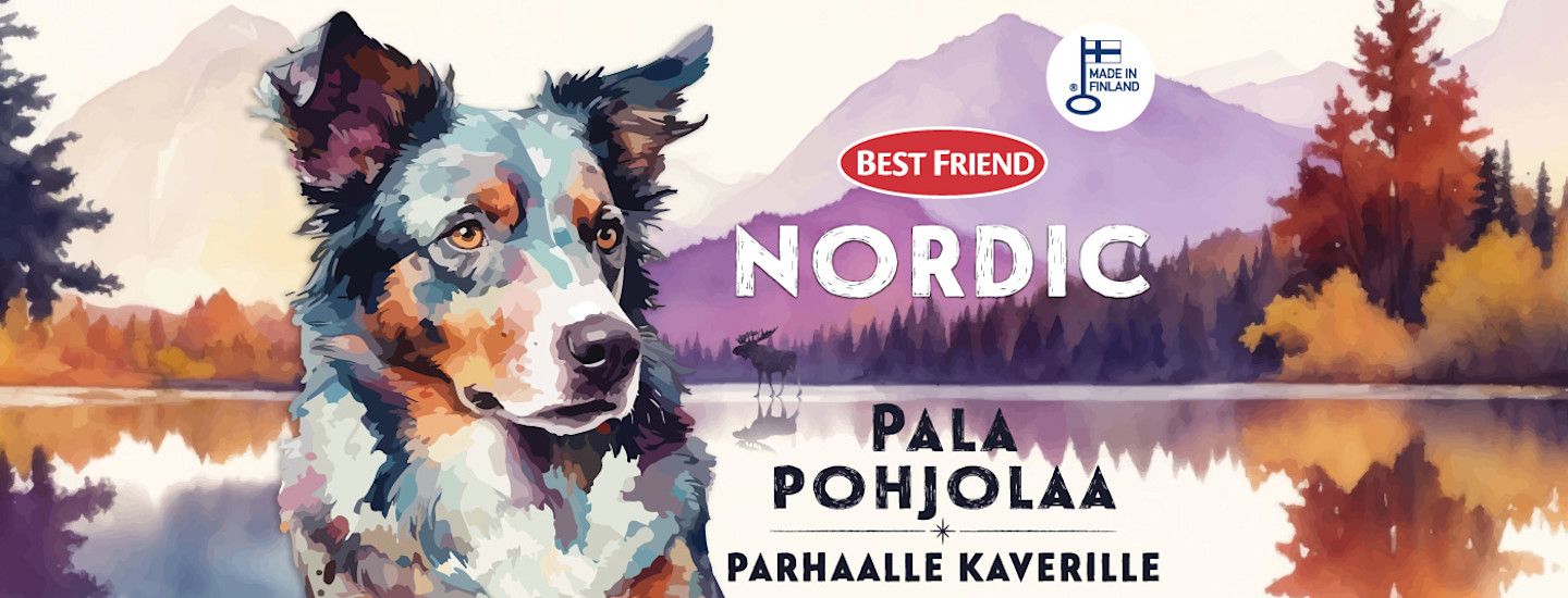 Taustalla vuorimaisema ja etualalla koira, sekä teksti "Best Friend Nordic - Pala pohjolaa parhaalle kaverille".