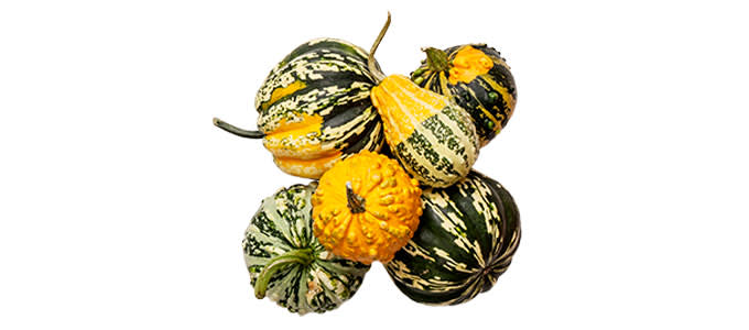 syyskukat koristekurpitsat 680x300