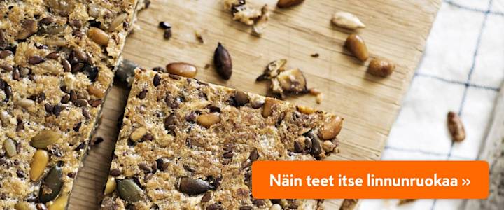 kiroileva-hiili-linnunruoka-askartelu-2021