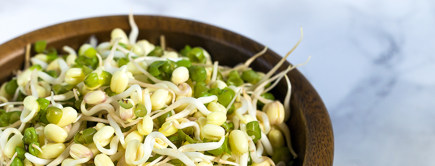 Erilaisia ituja puisessa kulhossa.