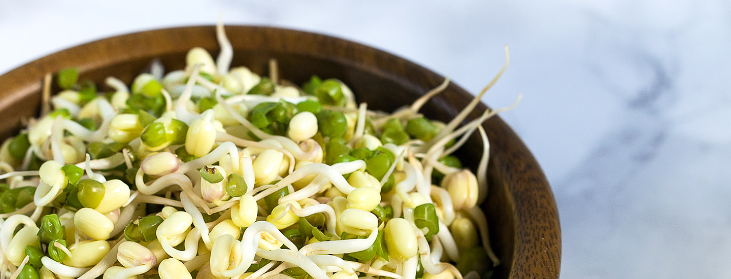 Erilaisia ituja puisessa kulhossa.