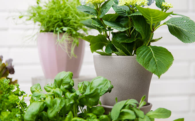 parvekelviljely ruukut 680