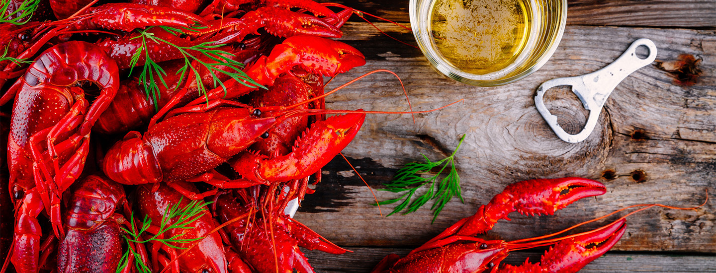 rapujuhlien-etiketti-header-image