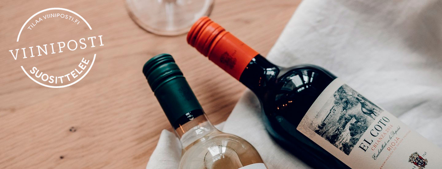 Parhaat viinit grilliruoalle