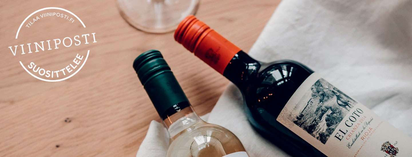 Parhaat viinit grilliruoalle