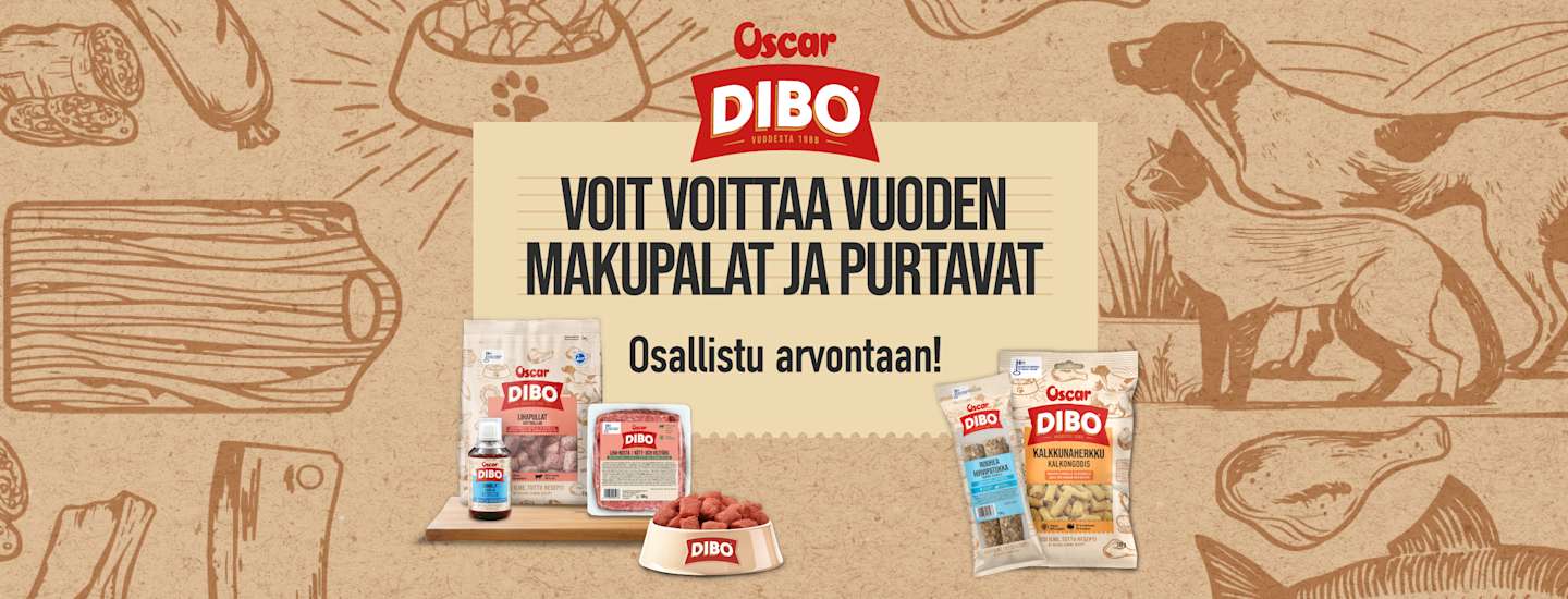 Oscar on nyt DIBO – voita vuoden makupalat ja purtavat!