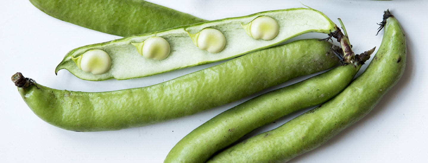 Huippuhyvä härkäpapu