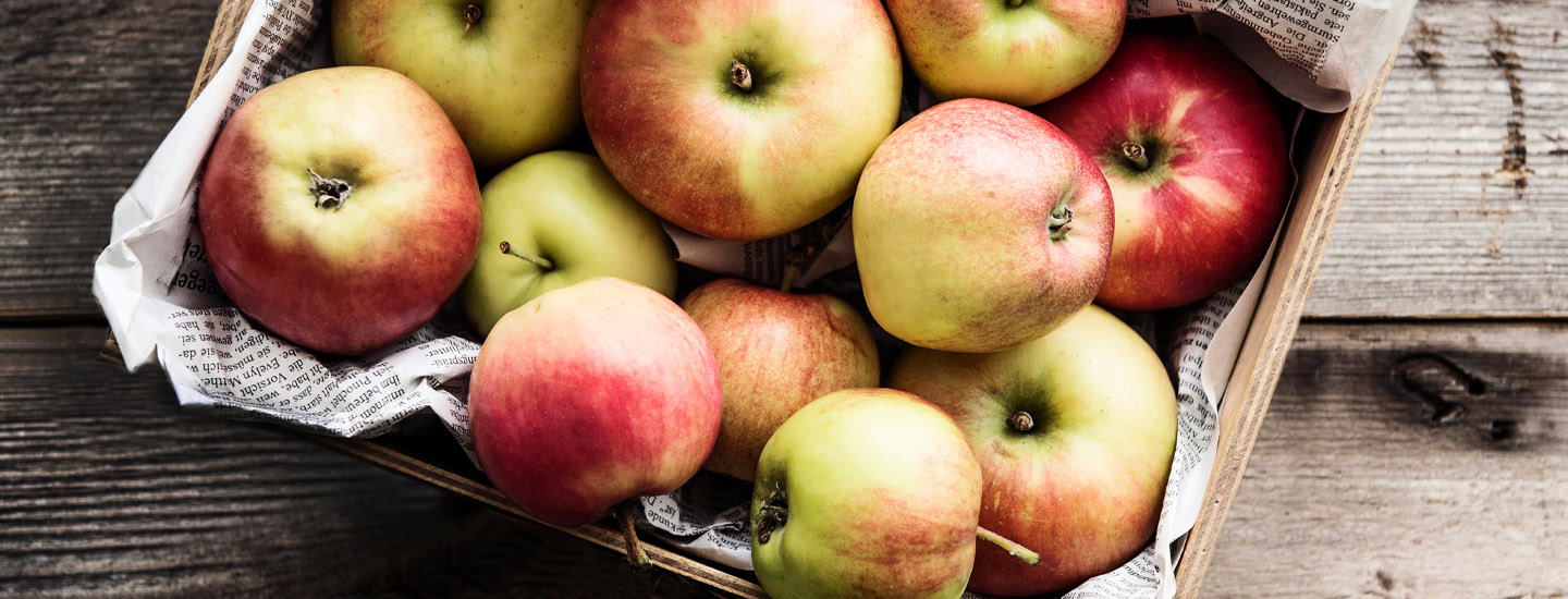 600 vuotta omenanviljelyä