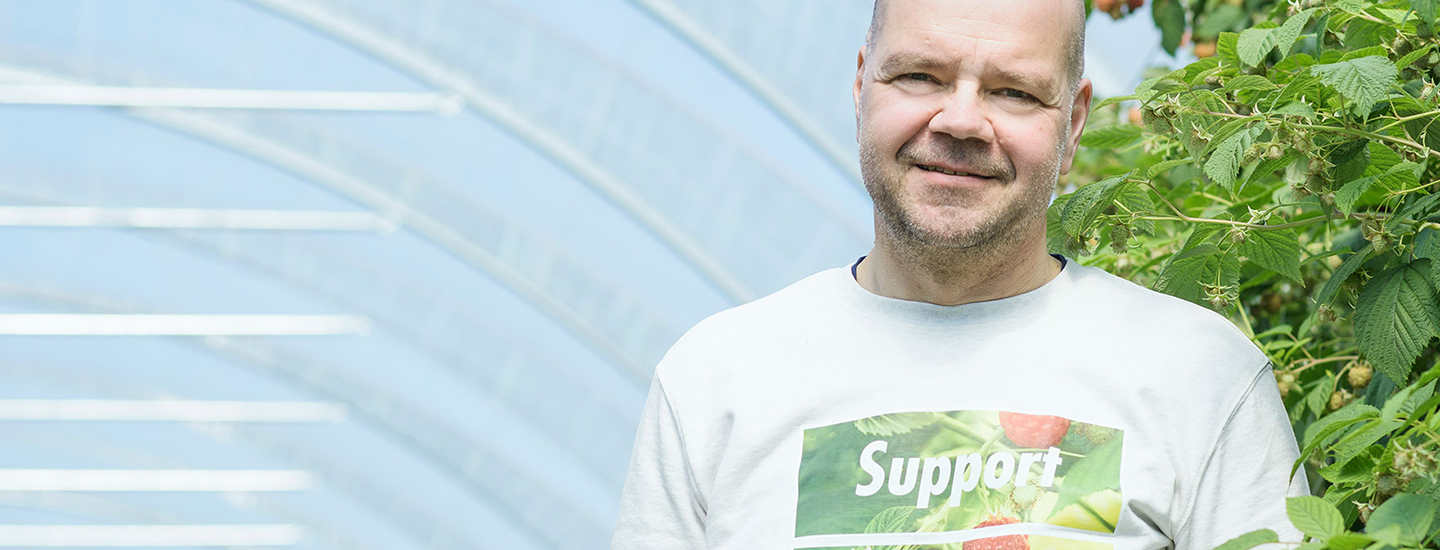 Pirkka-vadelmat kasvavat Vilppulan tilalla