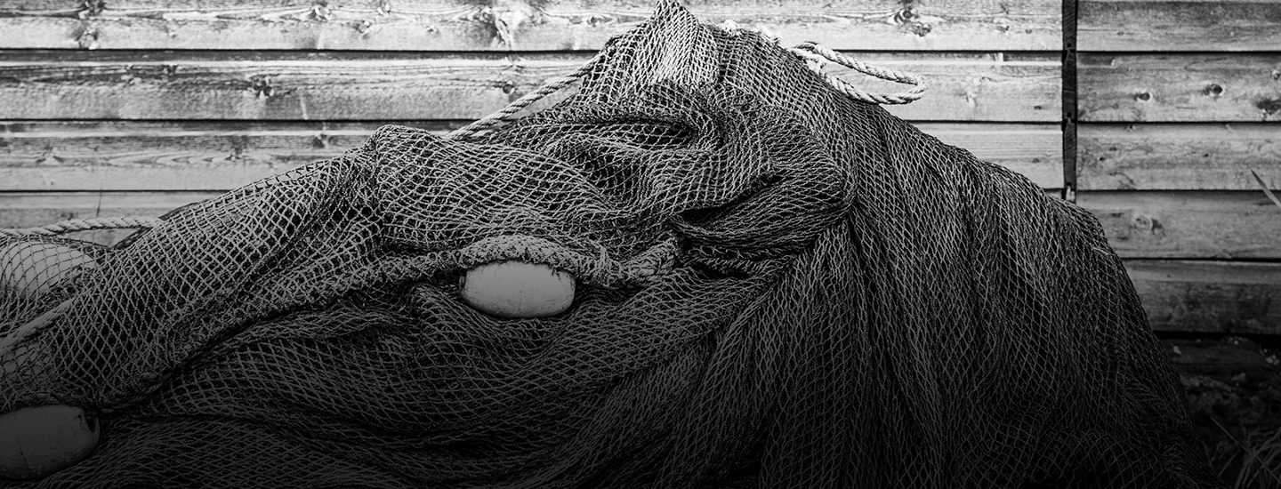 Pirkka Parhaat hyvää tekevän kalan syntysijoilla