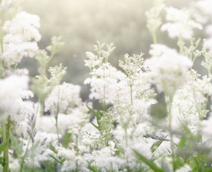 LUMENE KCM ARTIKKELIKUVAT 680x550px6
