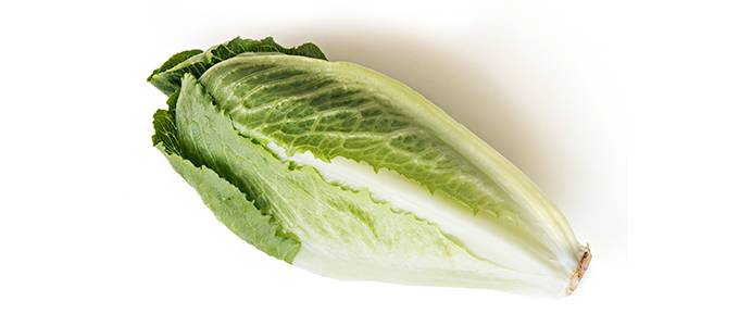 Cosmopolitan-salaattikerä valkoisella taustalla.