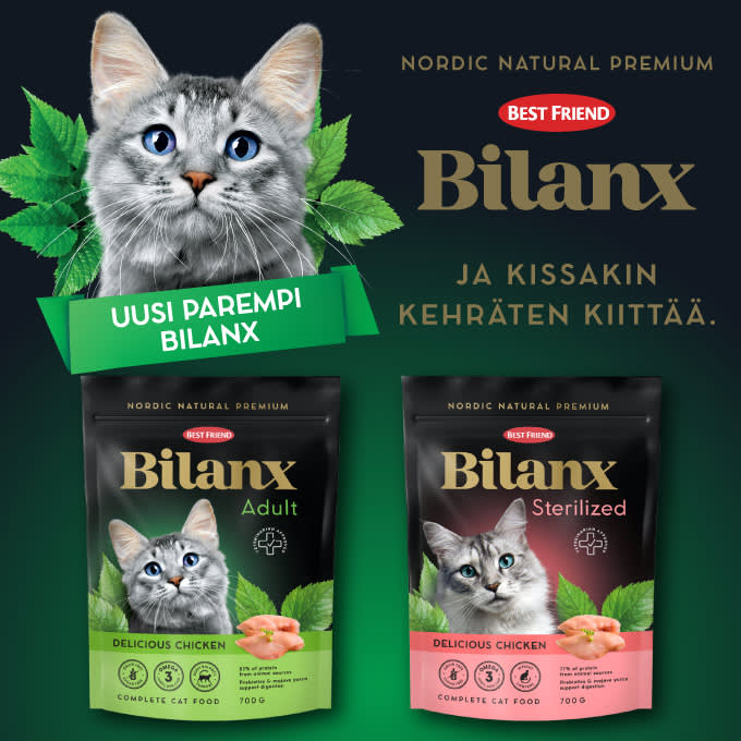 BestFriend-Bilanx-artikkelikuvat-Kuvituskuva3-680x680 (1)