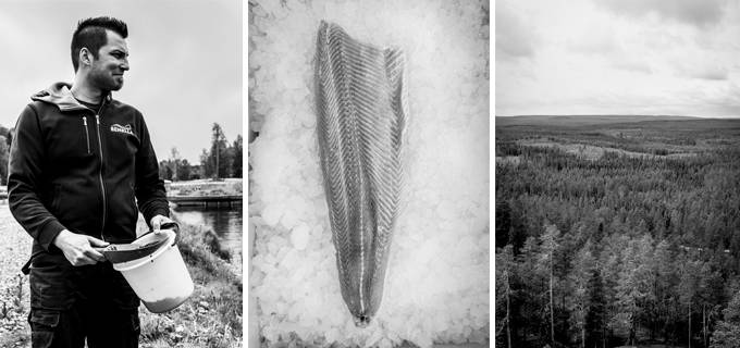 Pirkka parhaat kolmekuvaa