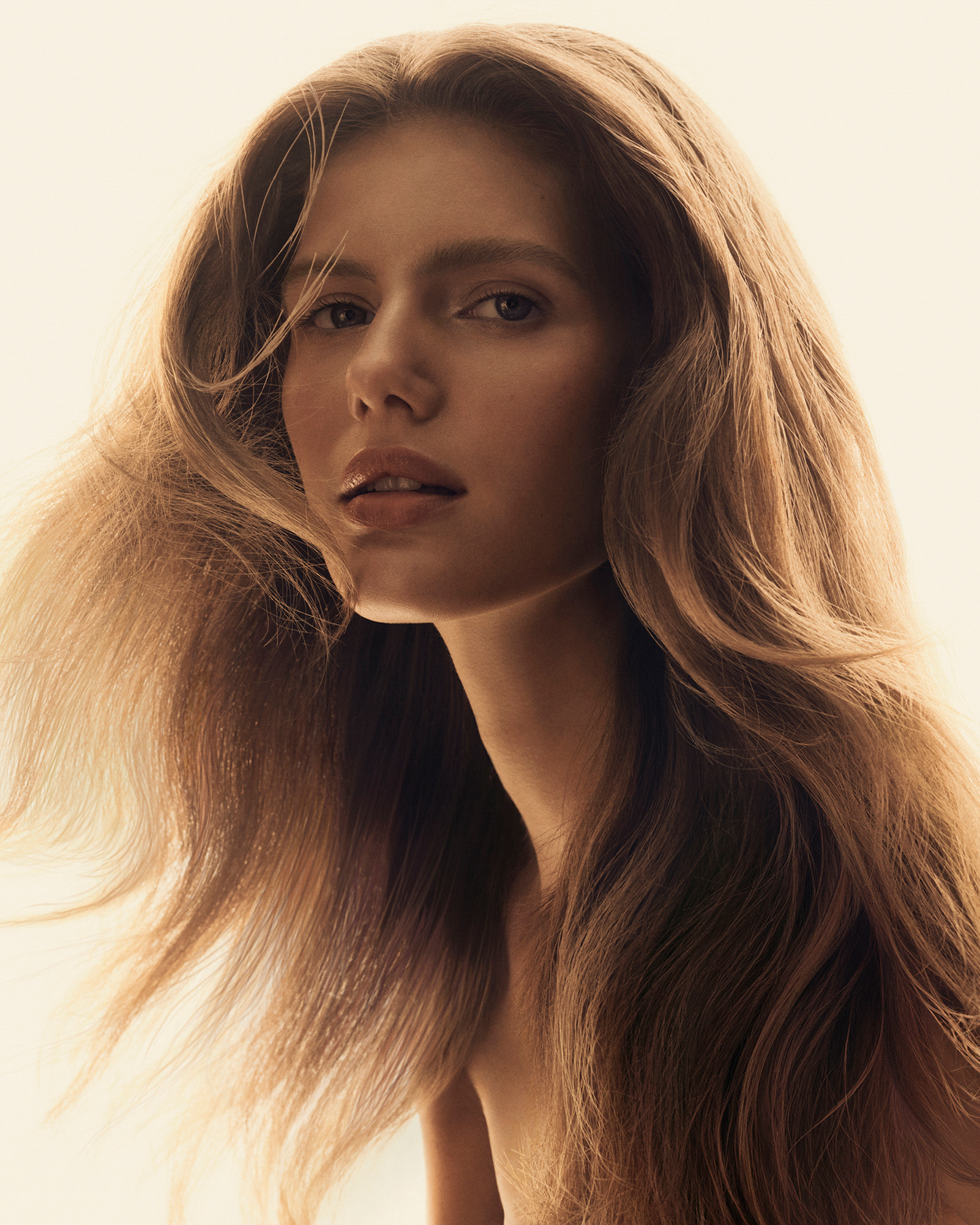 A model with long blonde hair is looking directly at the camera against a golden background. The model's hair is blown out with golden light coming up from above. 