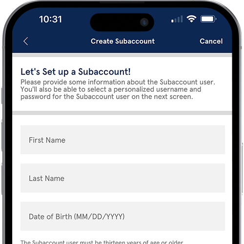 Subaccounts