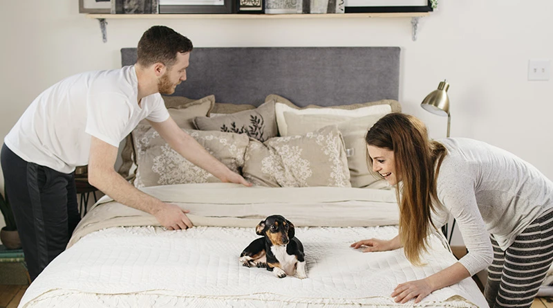 A young couple making their white Queen size Platform Bed with a blueish gray headboard while their small black dachshund dog rests on the top of the bed.