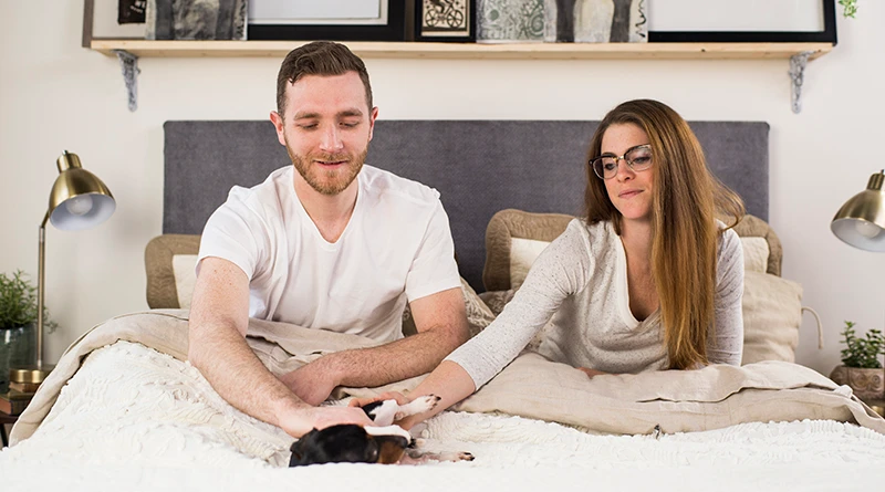 A young couple in an urban apartment setting petting a small black Dachshund dog on a white Platform Bed with a blueish gray headboard.