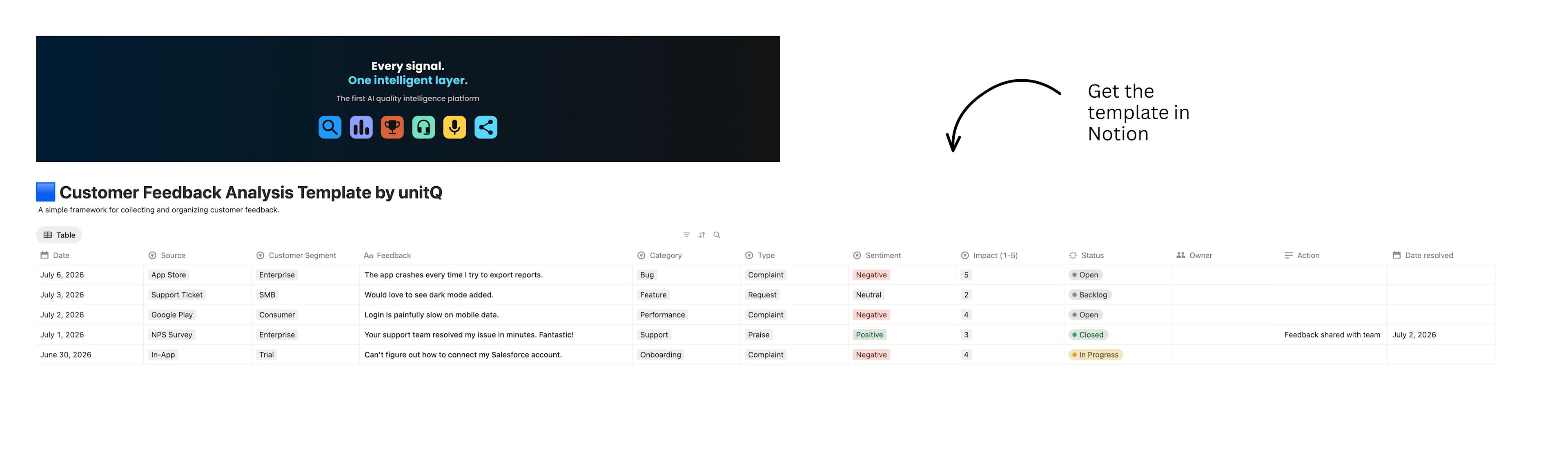 Customer Feedback Analysis Notion Template