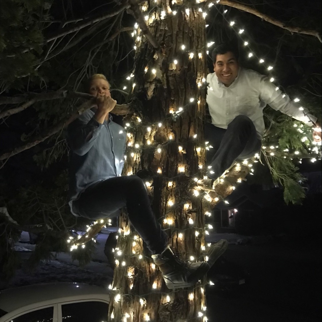 Drom + jesse in tree