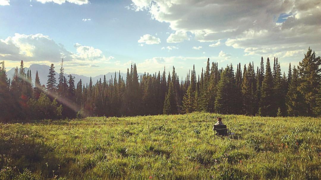 Jesse in a field
