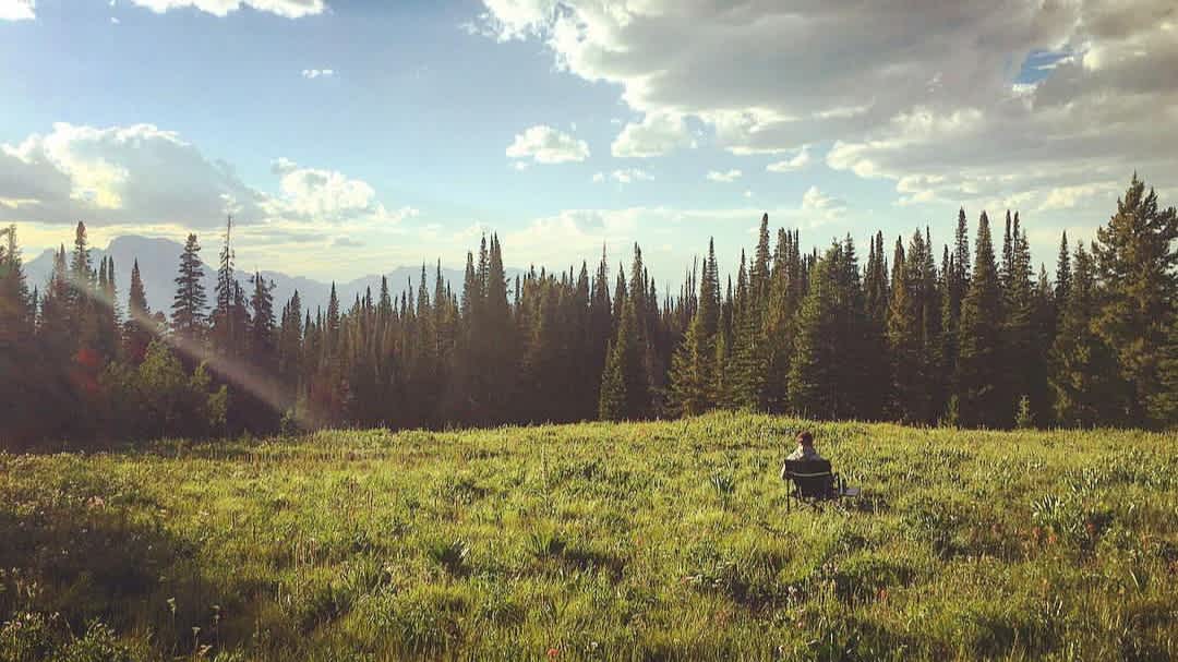 Jesse in a field
