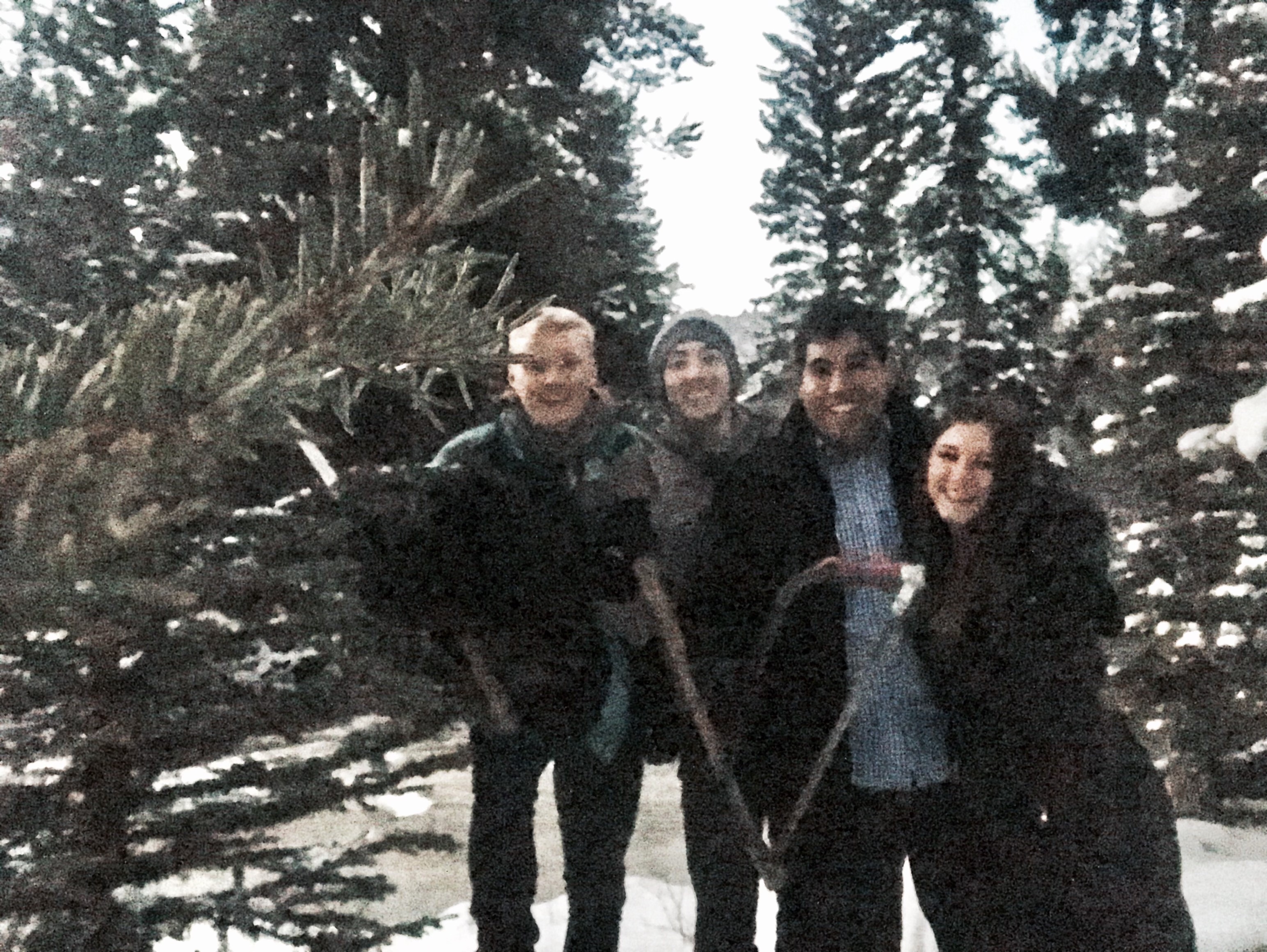 Cutting down double tree