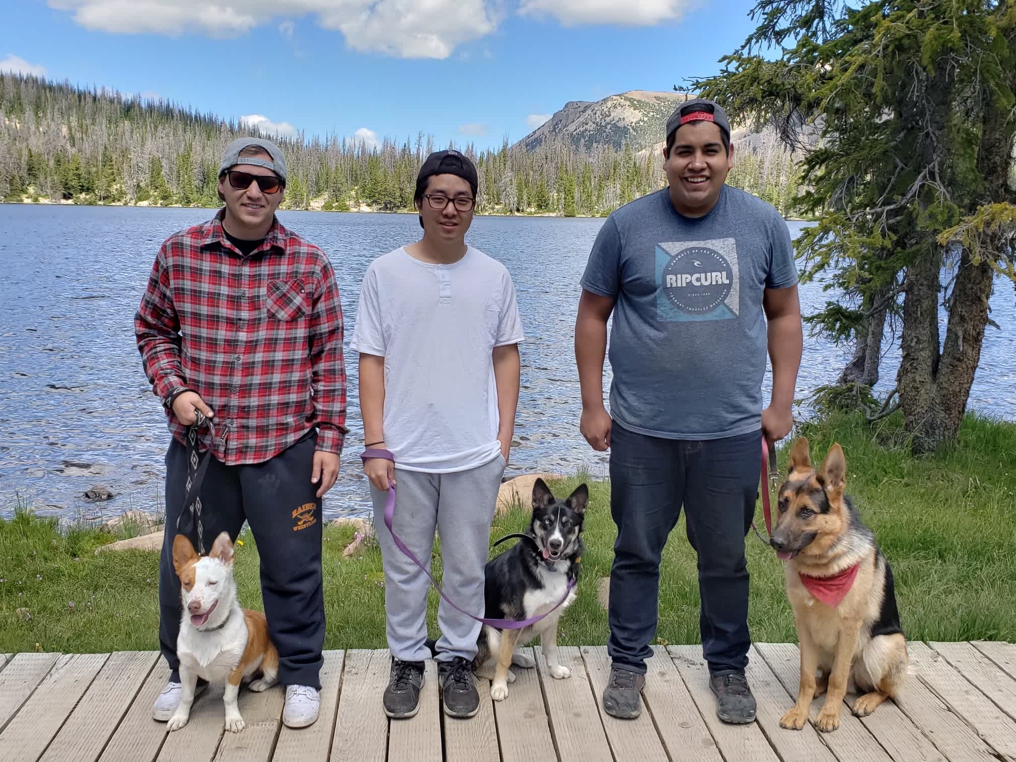 Dogs + Richard + Travis