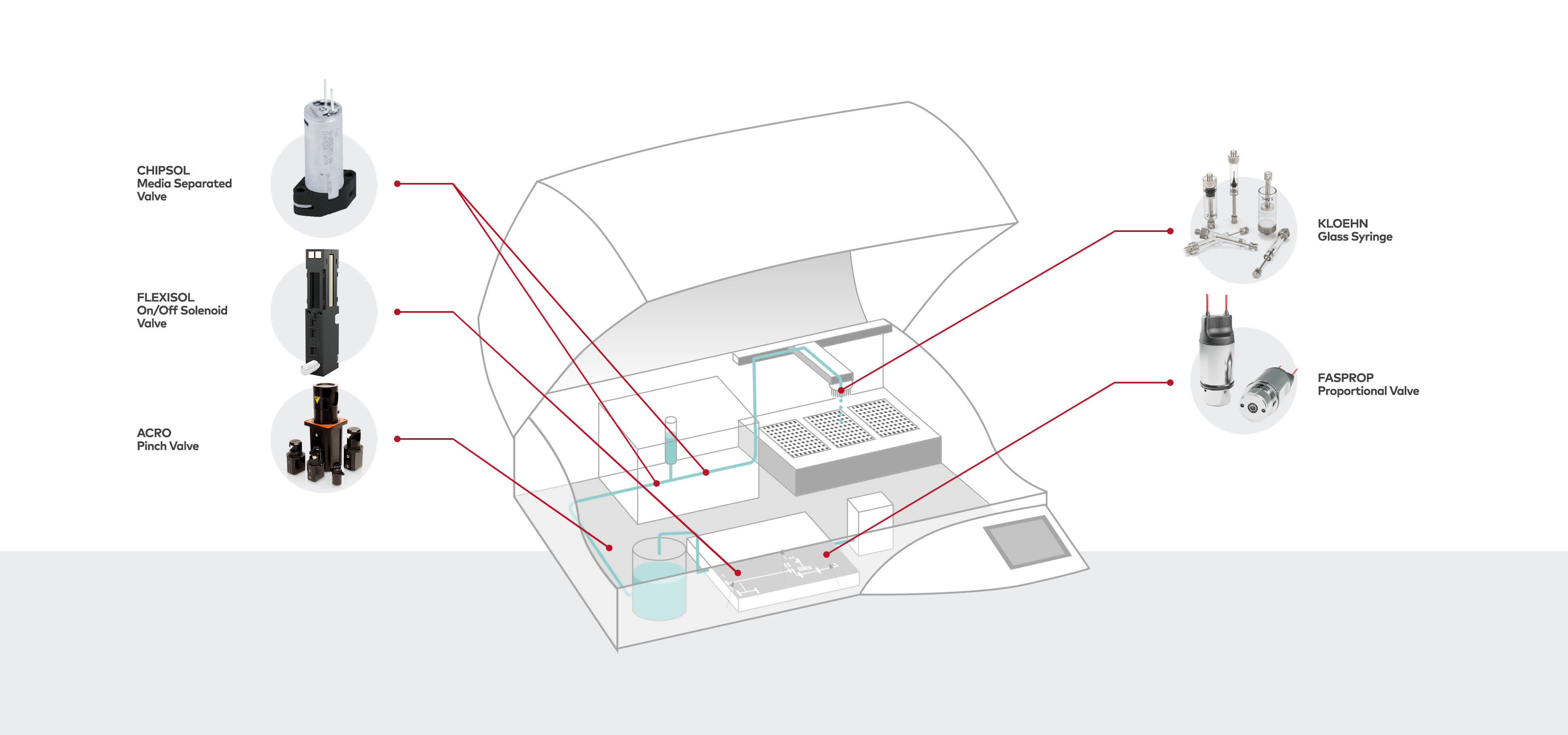 3840x2160 Illustrations-Biotechnology-PCR