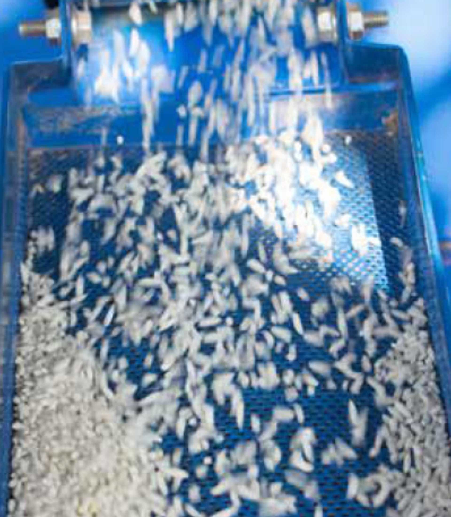 Sorting with high-speed valves | IMI Norgren