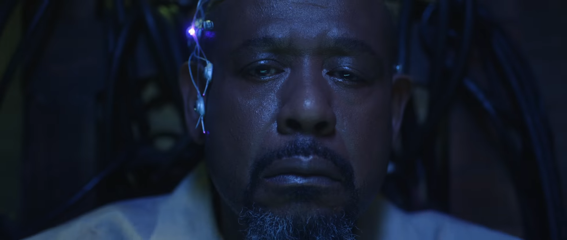 Screen Shot 2019-10-23 at 9.54.07 am