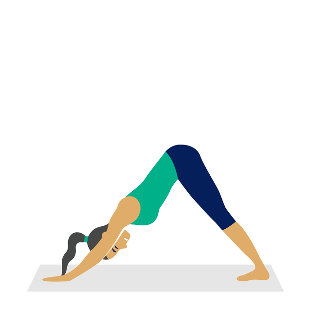 Illustration: Yoga herabschauender Hund.