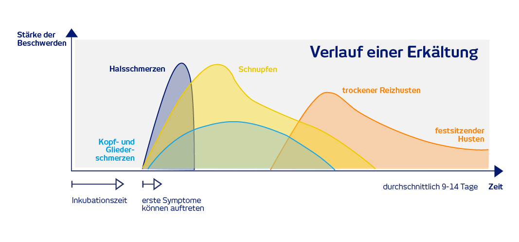 15 grafik verlauf-erkaeltung 0