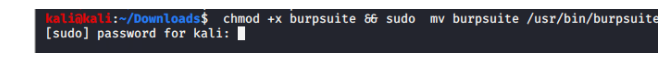 burp suite tutorial kali