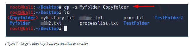 Kali Linux Command Lines Part 2 Working With Directories Cybrary