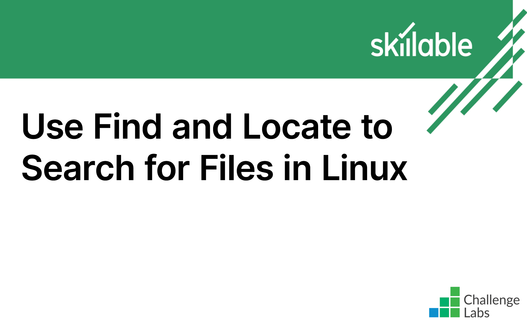 linux search all files for text