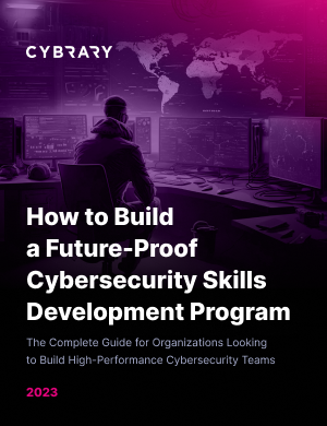 Skills Development Guide Cover 300x390