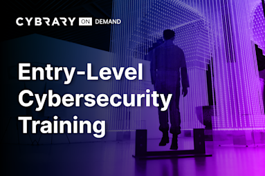 Entry-Level Cybersecurity Training