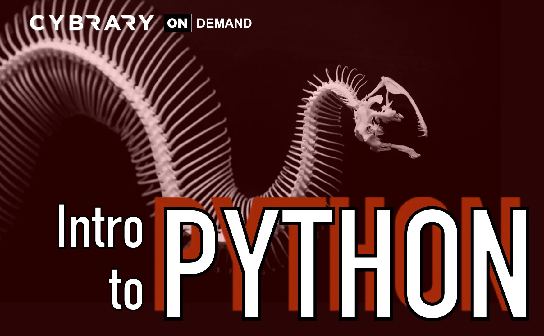 Python for Cyber Security Course | Cybrary