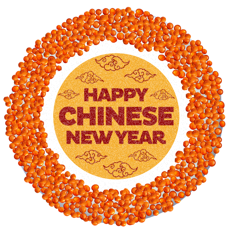 Happy Chinese New Year