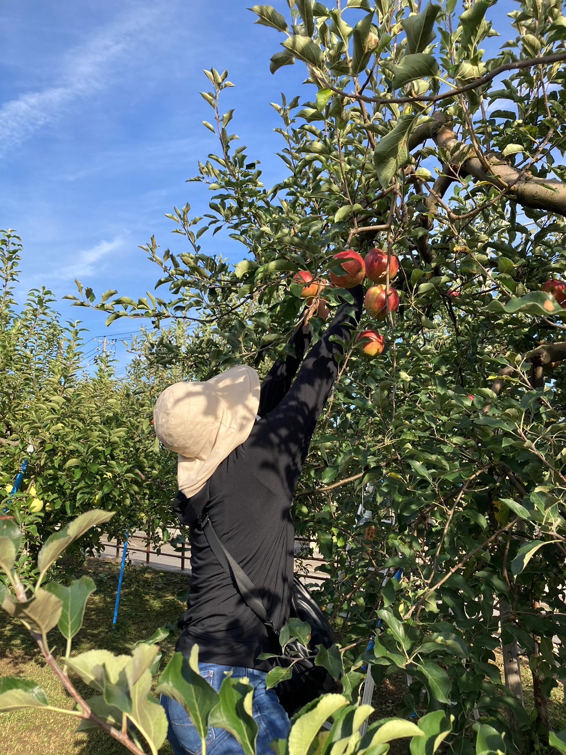 aomori05 | Workations（ワーケーションズ）