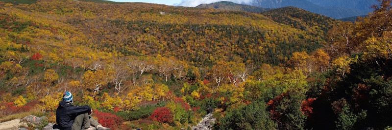 温泉の宿 ゲストハウス雷鳥 | Workations(ワーケーションズ)