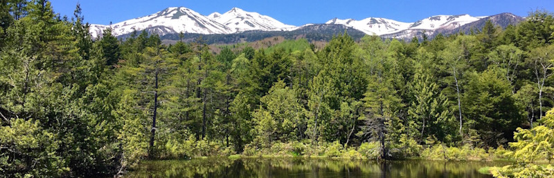温泉の宿 ゲストハウス雷鳥 | Workations(ワーケーションズ)