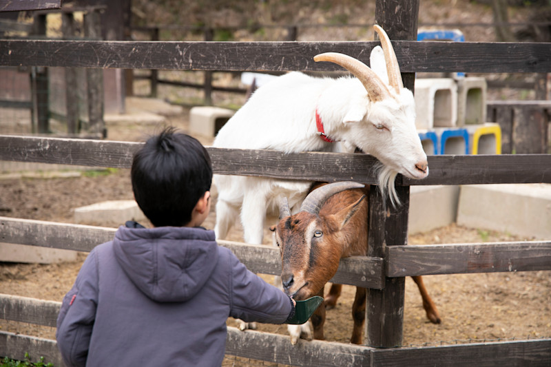 小さな動物園 | Workations(ワーケーションズ)