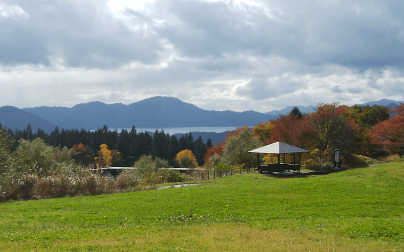 denen 14 | Workations(ワーケーションズ)