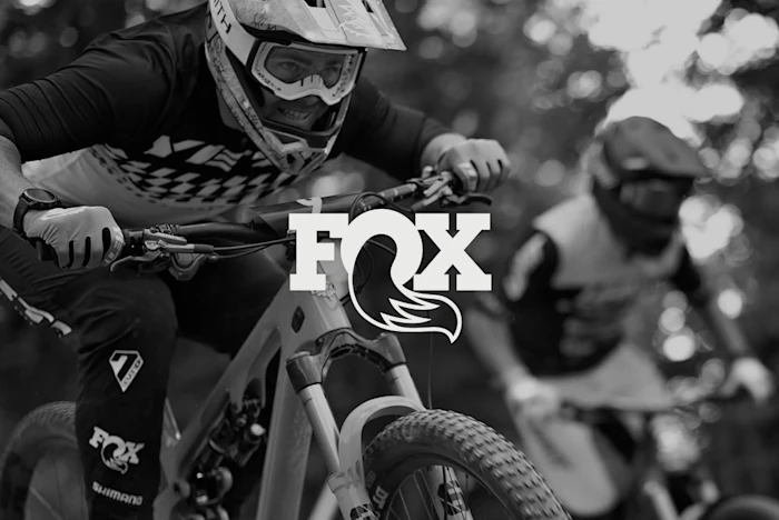 marz-fox-comp