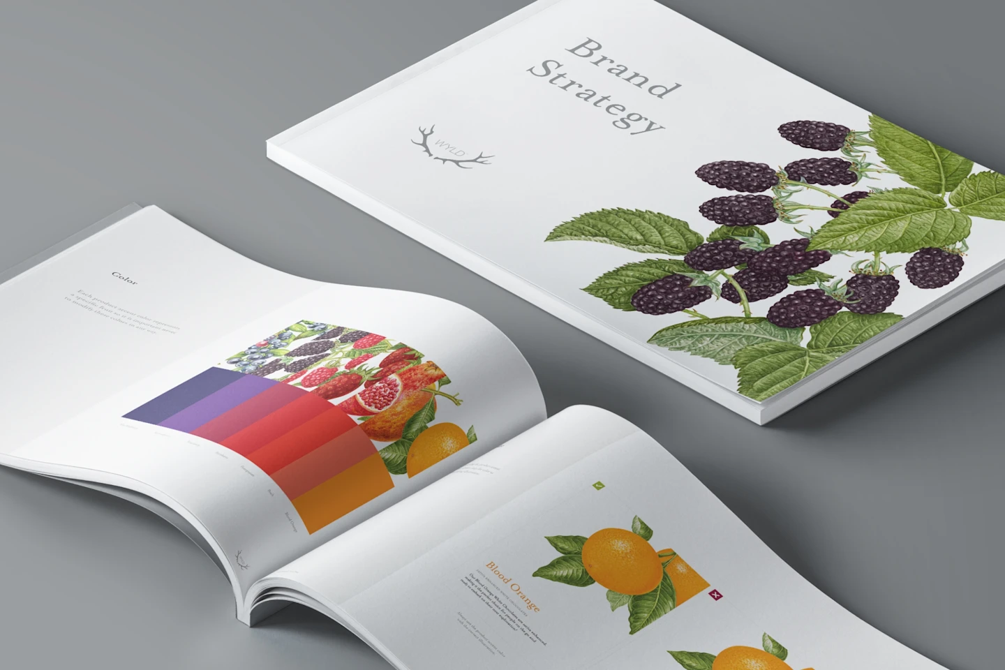 Wyld brand strategy book