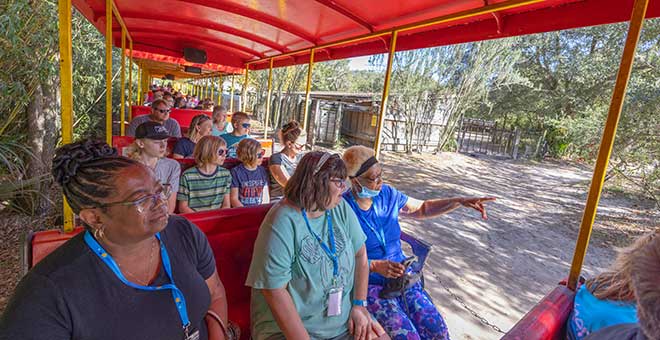 Guests enjoy the train at the Jacksonville Zoo and Gardens.